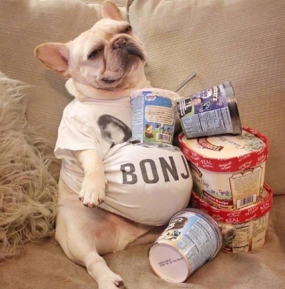 百人牛牛电子：✅✅百人电子牛牛、定量解释落实